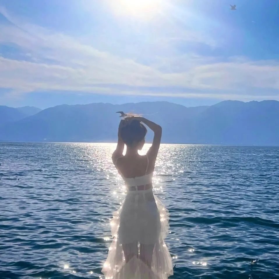 海报